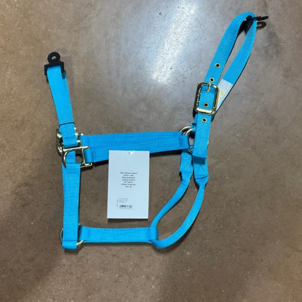 Valhoma Halter Large Neon Blue